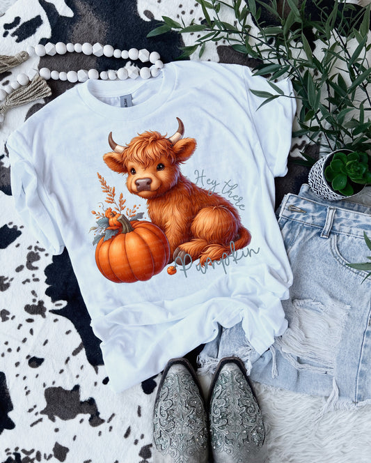 Hey there pumpkin